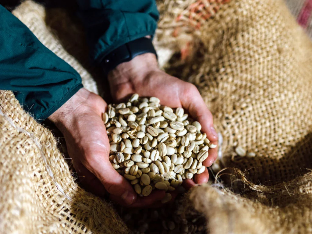 How to find the best fairtrade certified coffee beans online